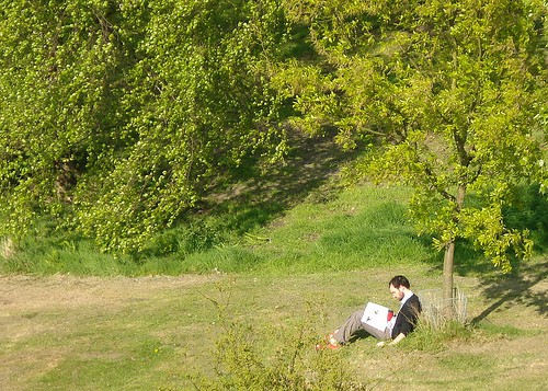 Reading Under a Tree