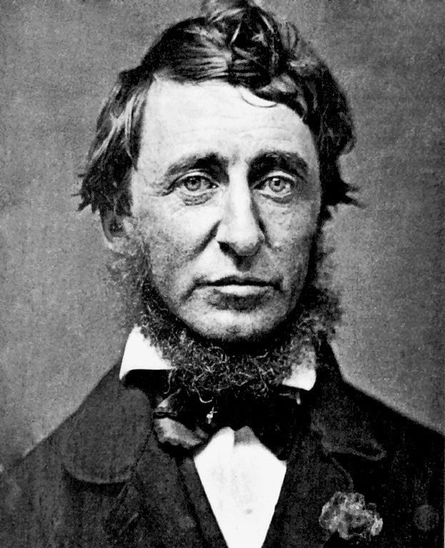 what does thoreau say is the purpose of his essay